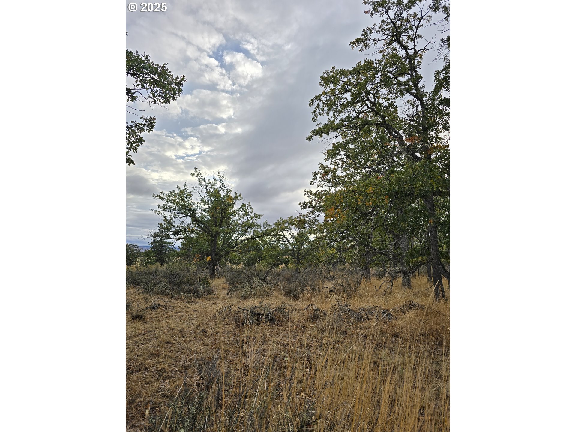 71 Homestead Road Goldendale, WA 98620 - Photo 28 of 33