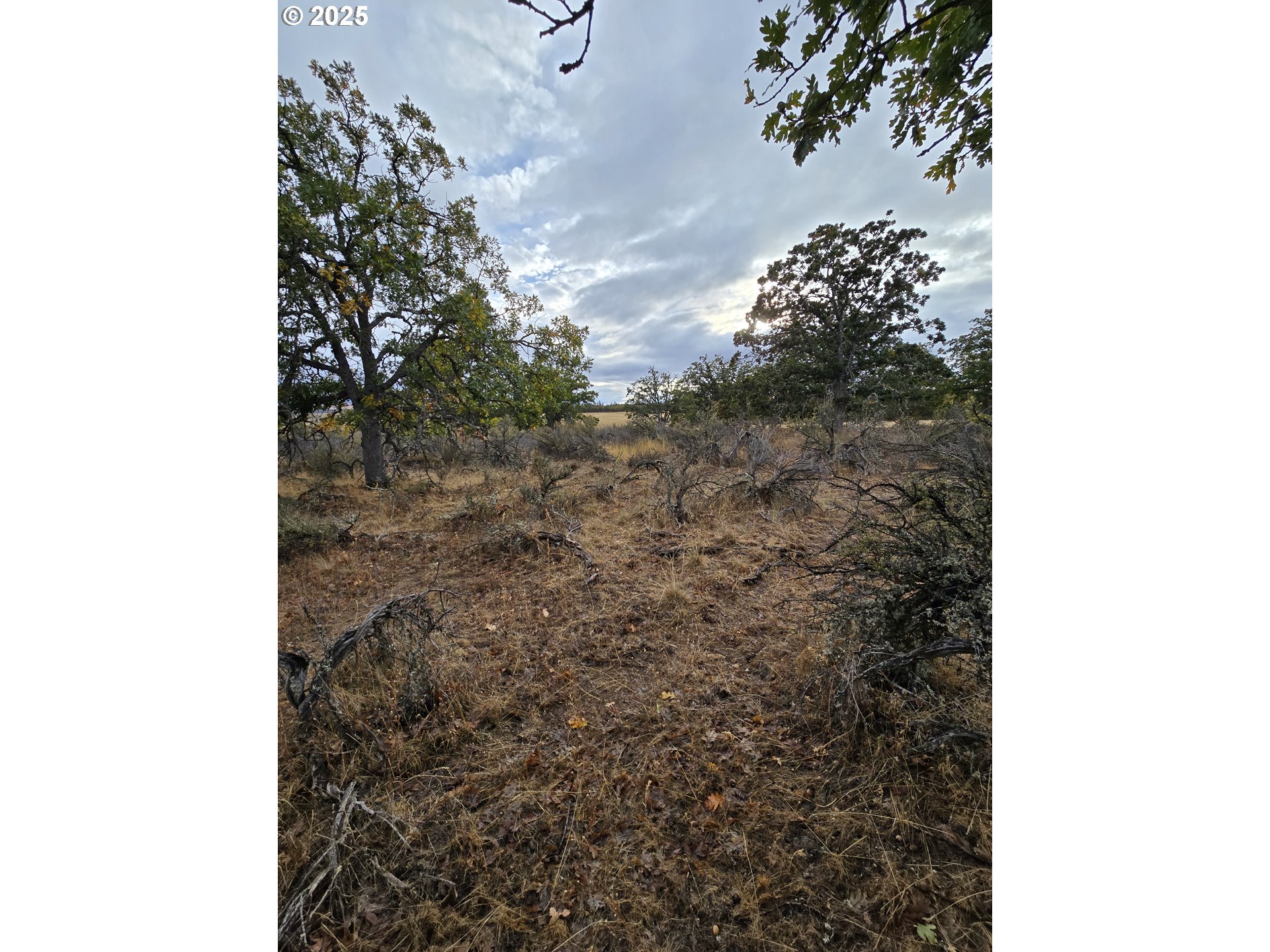 71 Homestead Road Goldendale, WA 98620 - Photo 30 of 33 a close view of a sink in the background