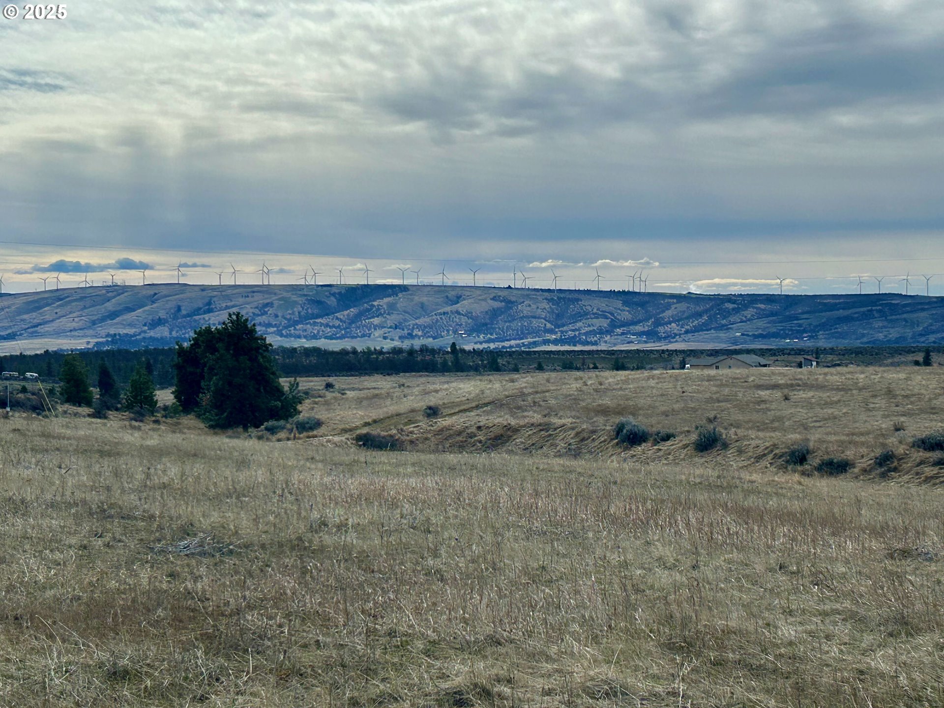 71 Homestead Road Goldendale, WA 98620 - Photo 4 of 33 a view of a outdoor space
