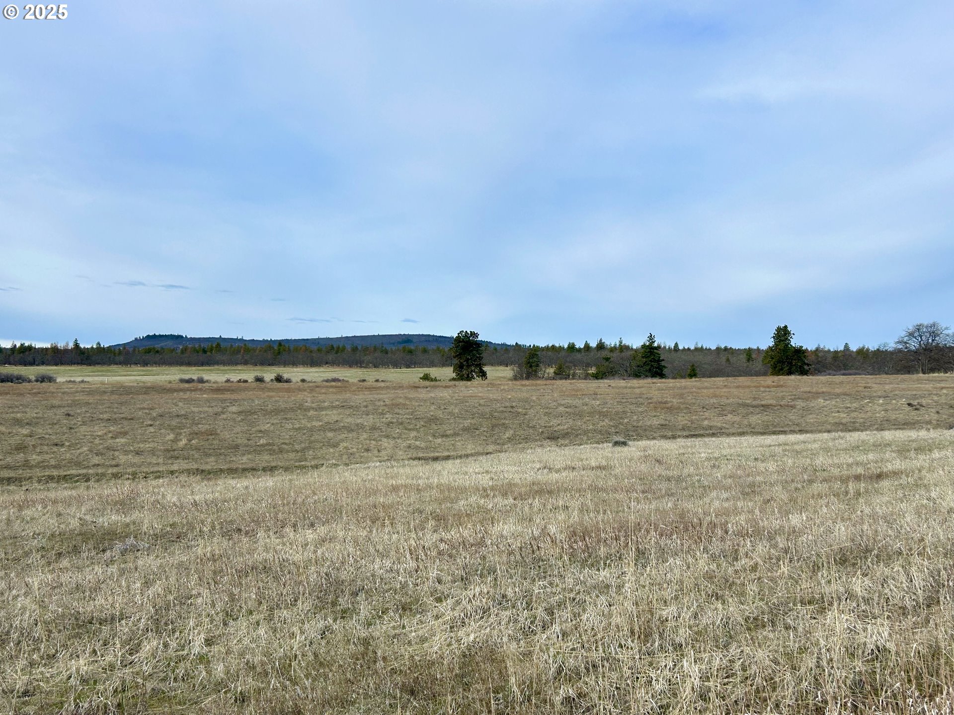 71 Homestead Road Goldendale, WA 98620 - Photo 5 of 33 a view of a lake view