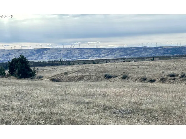 a view of wooden floor