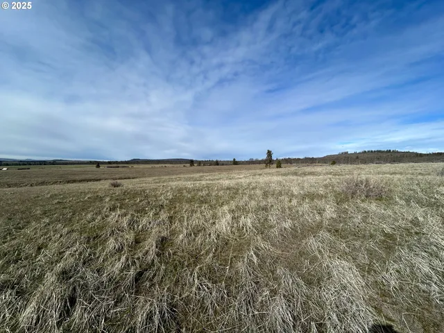 a view of a yard with wooden fence