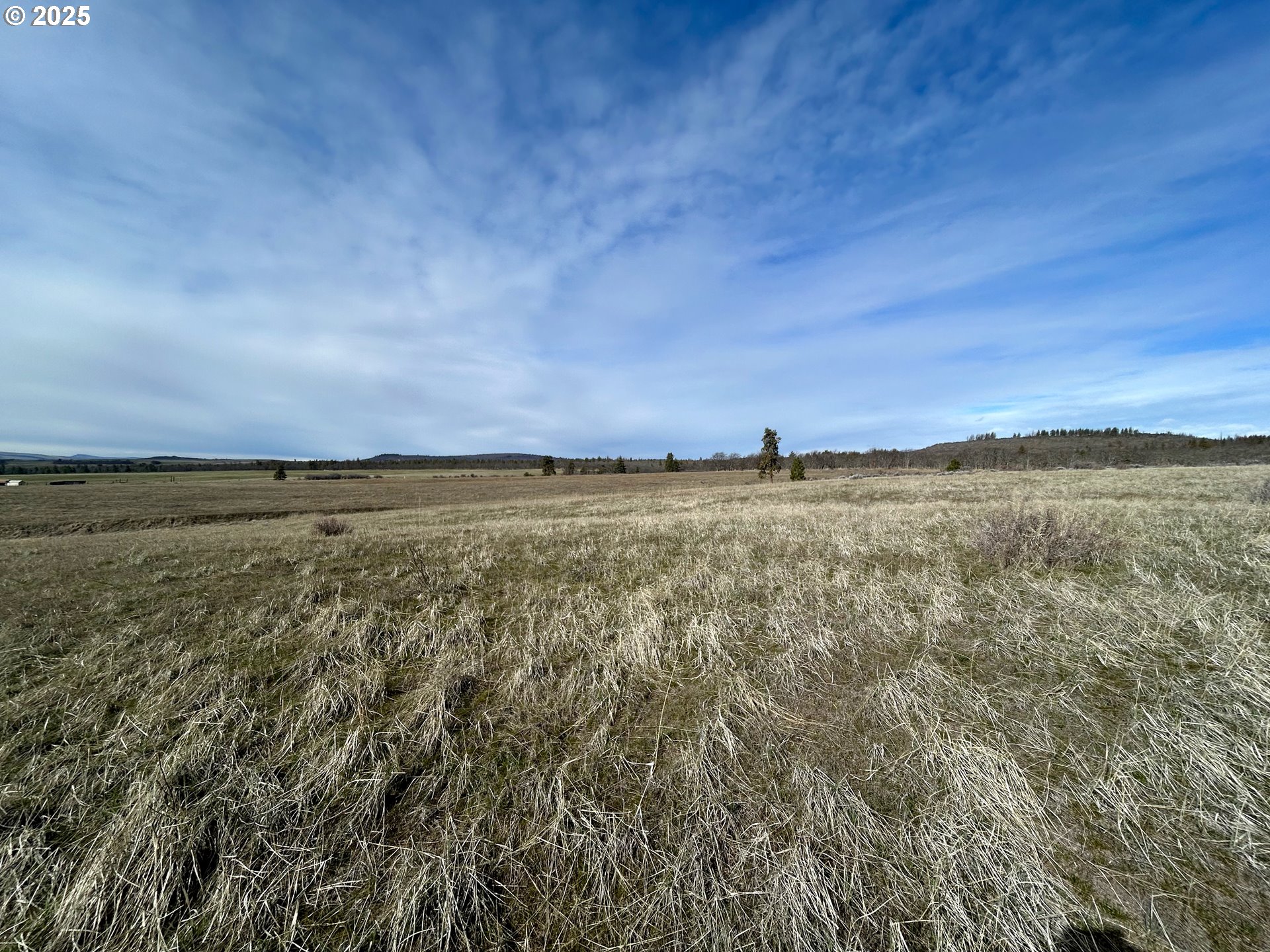 71 Homestead Road Goldendale, WA 98620 - Photo 9 of 33