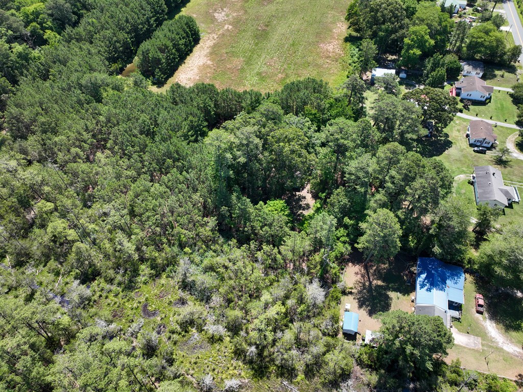 20039 Quinby Bridge Road Quinby, VA 23410 - Photo 11 of 17
