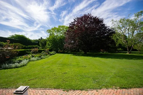 a view of a field of grass and trees