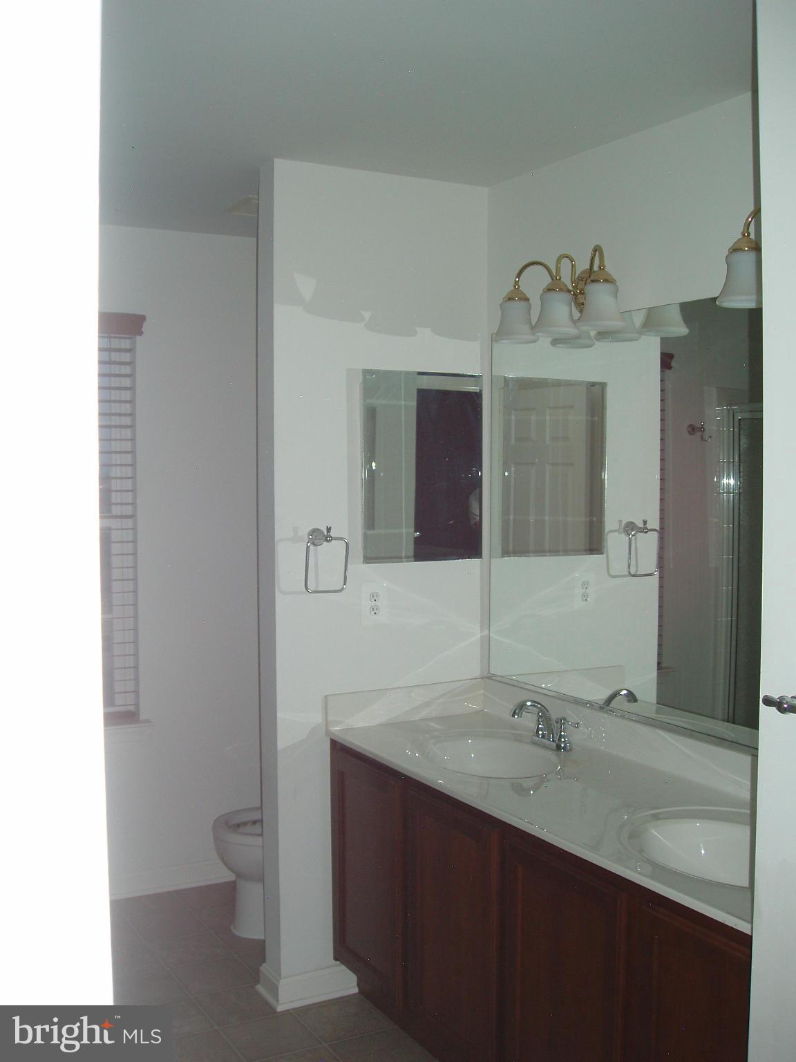 96 Saratoga Road Inwood, WV 25428 - Photo 19 of 30 Bath (Master)