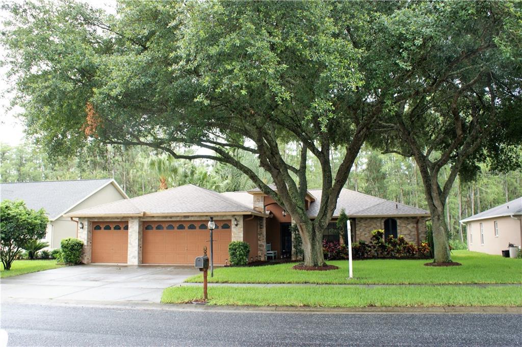9316 Bearcat Road New Port Richey, FL 34655 - Photo 1 of 1 Gallery Image 1