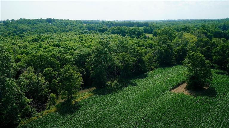 1 Paynes Mill Road Versailles, KY 40383 - Photo 23 of 36 Photo 23