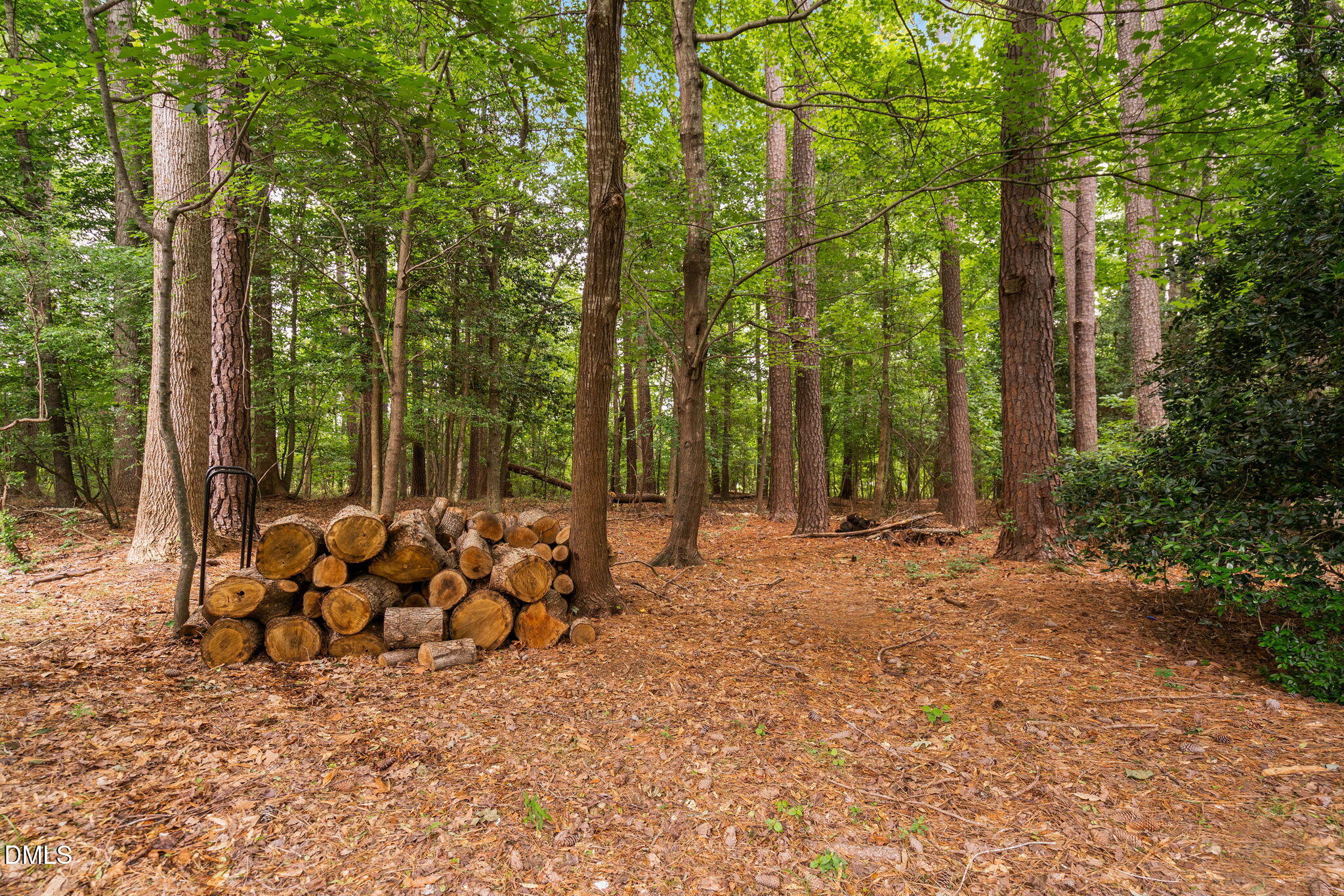 2724 Glastonbury Road Apex, NC 27539 - Photo 49 of 50 a view of a forest with trees