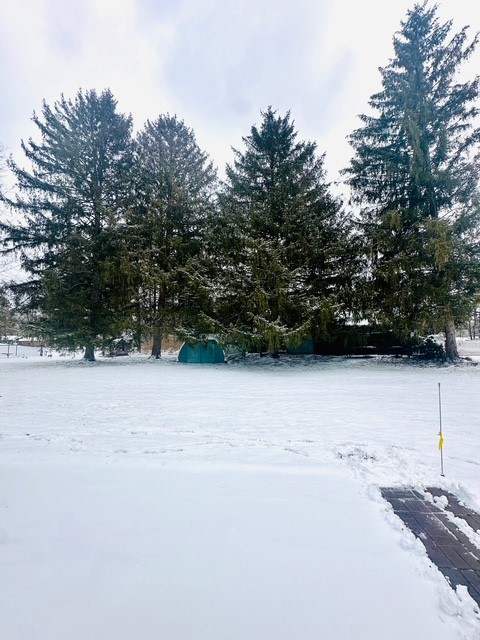 6 Locust Street Bath, NY 14810 - Photo 25 of 31