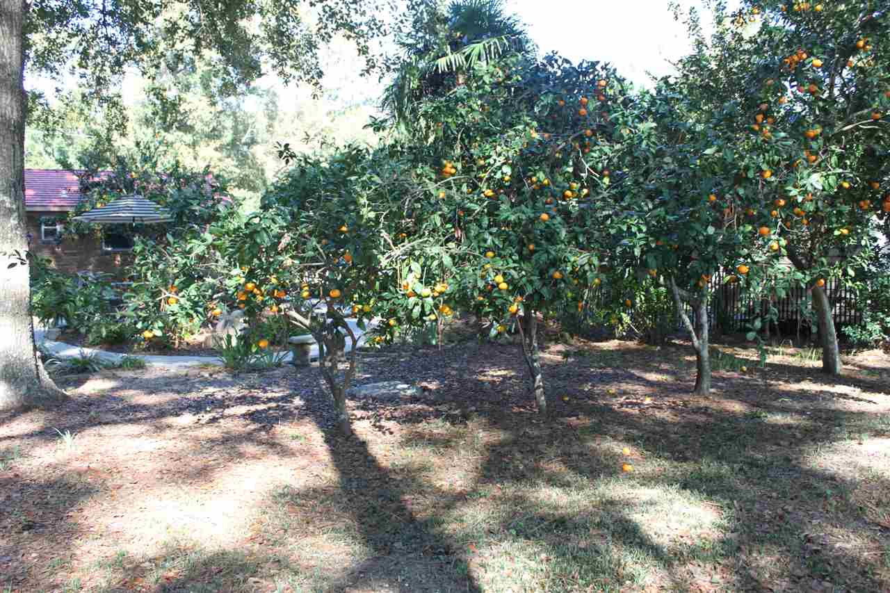 23148 Miflin Road Foley, AL 36535 - Photo 10 of 34