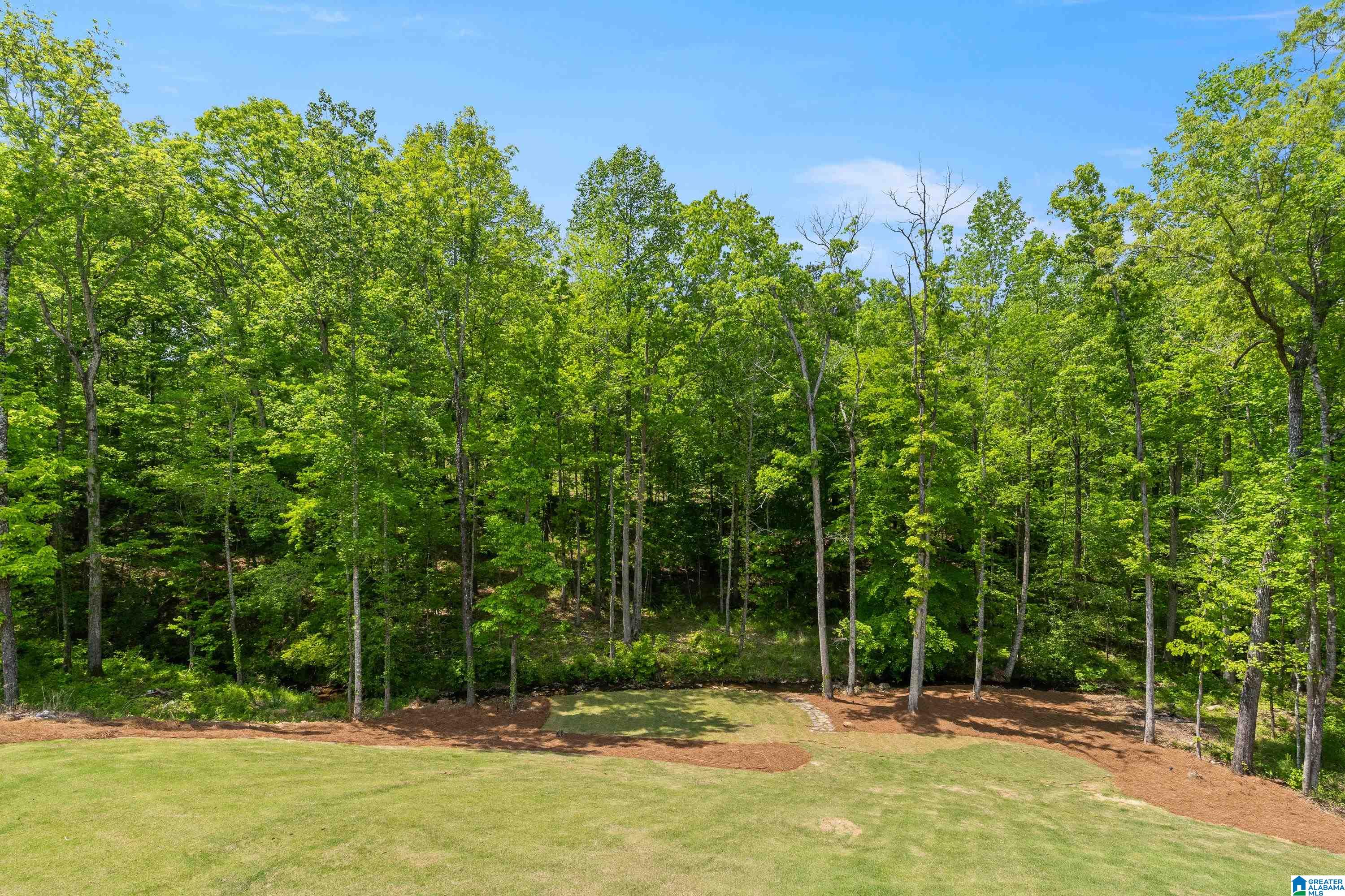 312 Timberview Trail Chelsea, AL 35043 - Photo 75 of 87