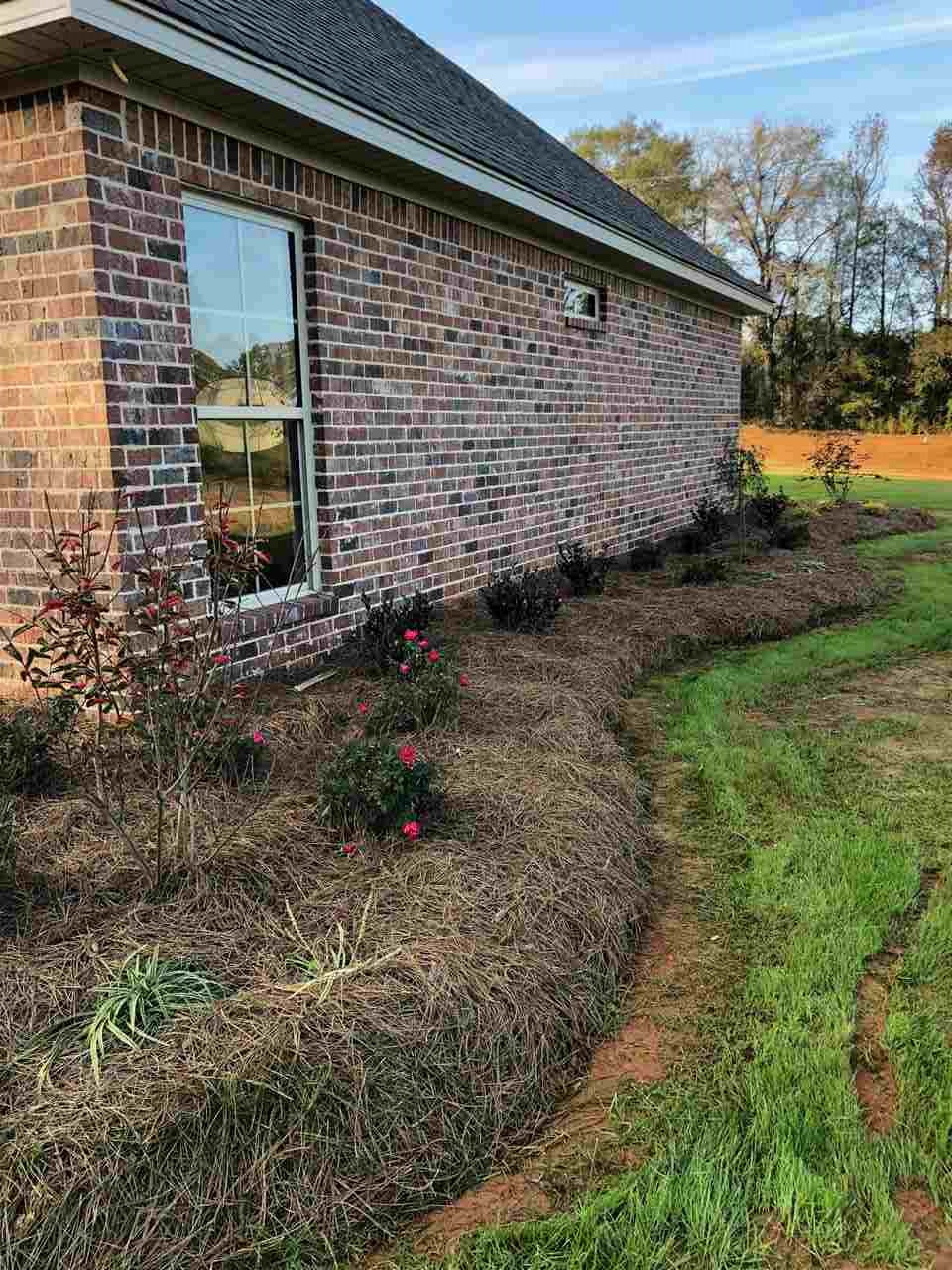 320 Crossroads Road Walnut Grove, MS 39189 - Photo 36 of 43 Photo 41