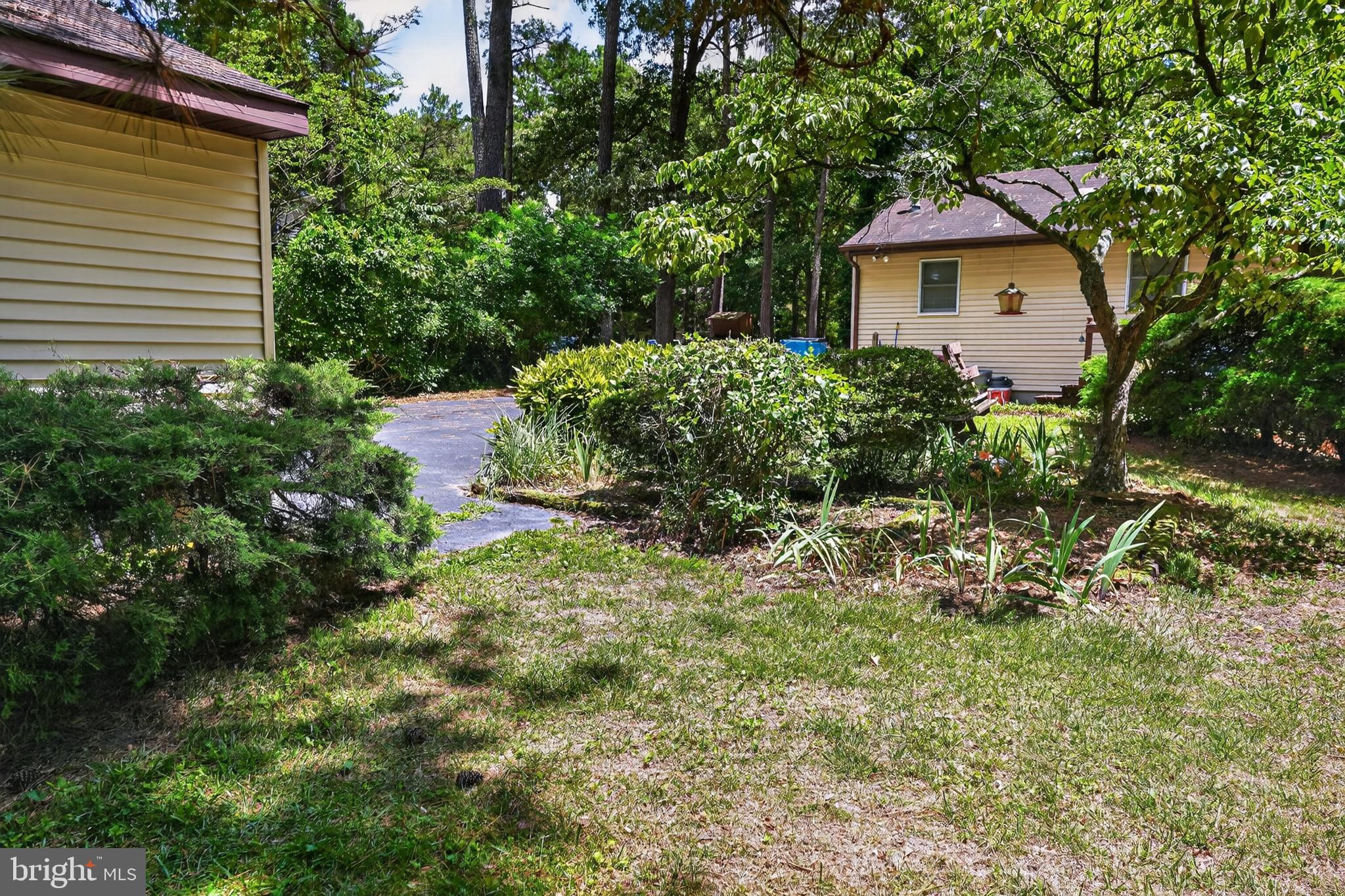 7204 East Ranier Drive Parsonsburg, MD 21849 - Photo 35 of 38