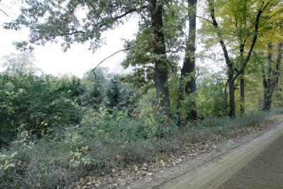 Three Rivers Mi 49093 Road Constantine, MI 49042 - Photo 1 of 2 Primary Photo