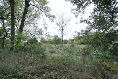 Three Rivers Mi 49093 Road Constantine, MI 49042 - Photo 2 of 2 Additional Photo