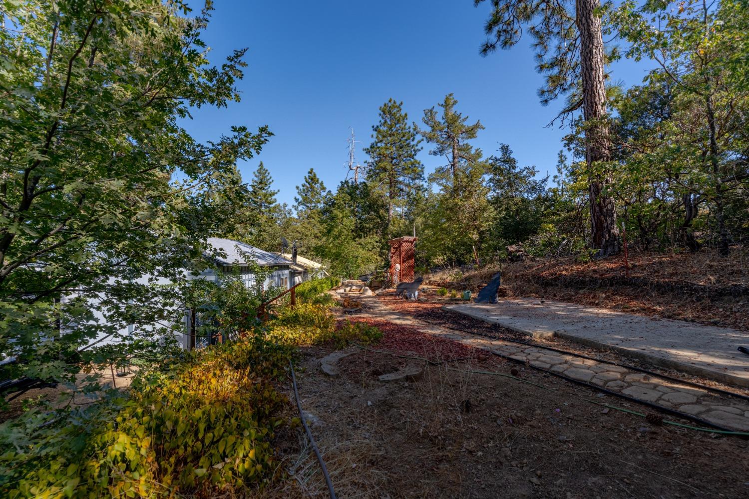 10038 Holtzel Road Coulterville, CA 95311 - Photo 5 of 55