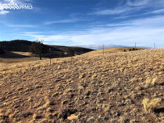 Tbd Long Gulch Road Hartsel, CO 80449 - Photo 24 of 27 Fencing to the South