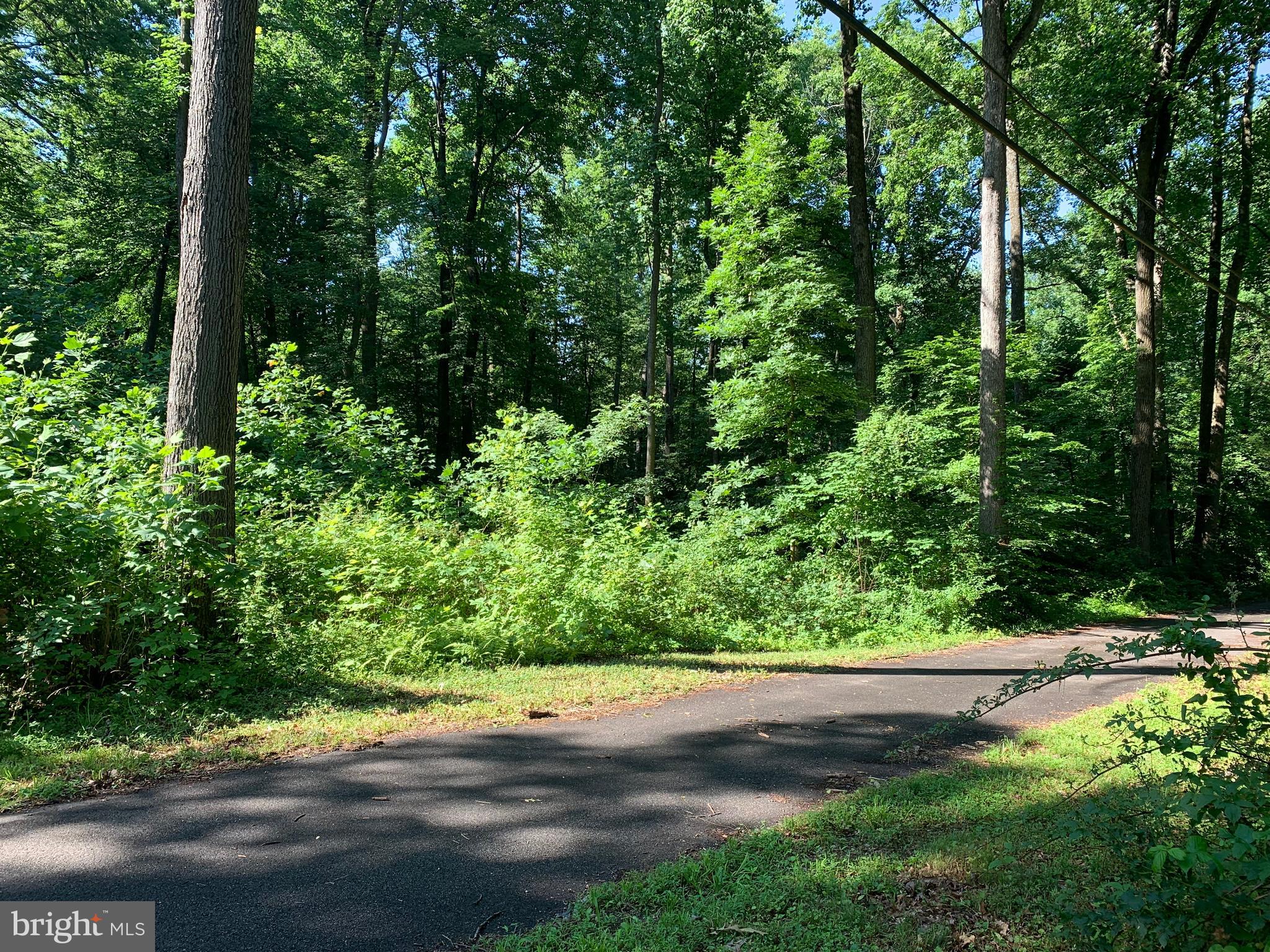 17348 Troyer Road Monkton, MD 21111 - Photo 7 of 7 View towards proposed private driveway to homesite