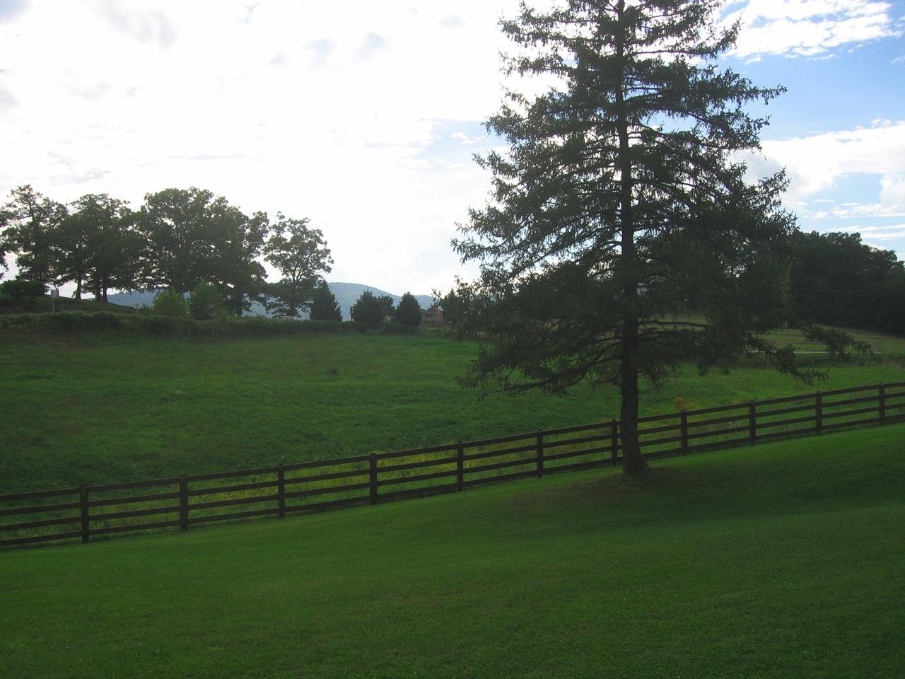 2555 Bradshaw Road Elliston, VA 24087 - Photo 5 of 29 04_Land