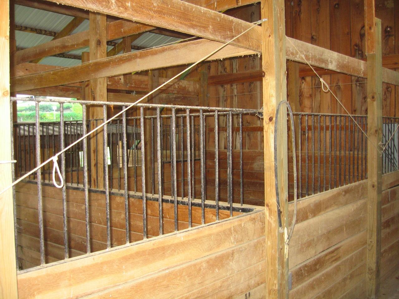 2555 Bradshaw Road Elliston, VA 24087 - Photo 9 of 29 08_Stalls