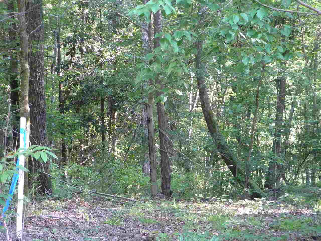 0 Poplar Springs Road Florence, MS 39073 - Photo 3 of 6 Photo 3