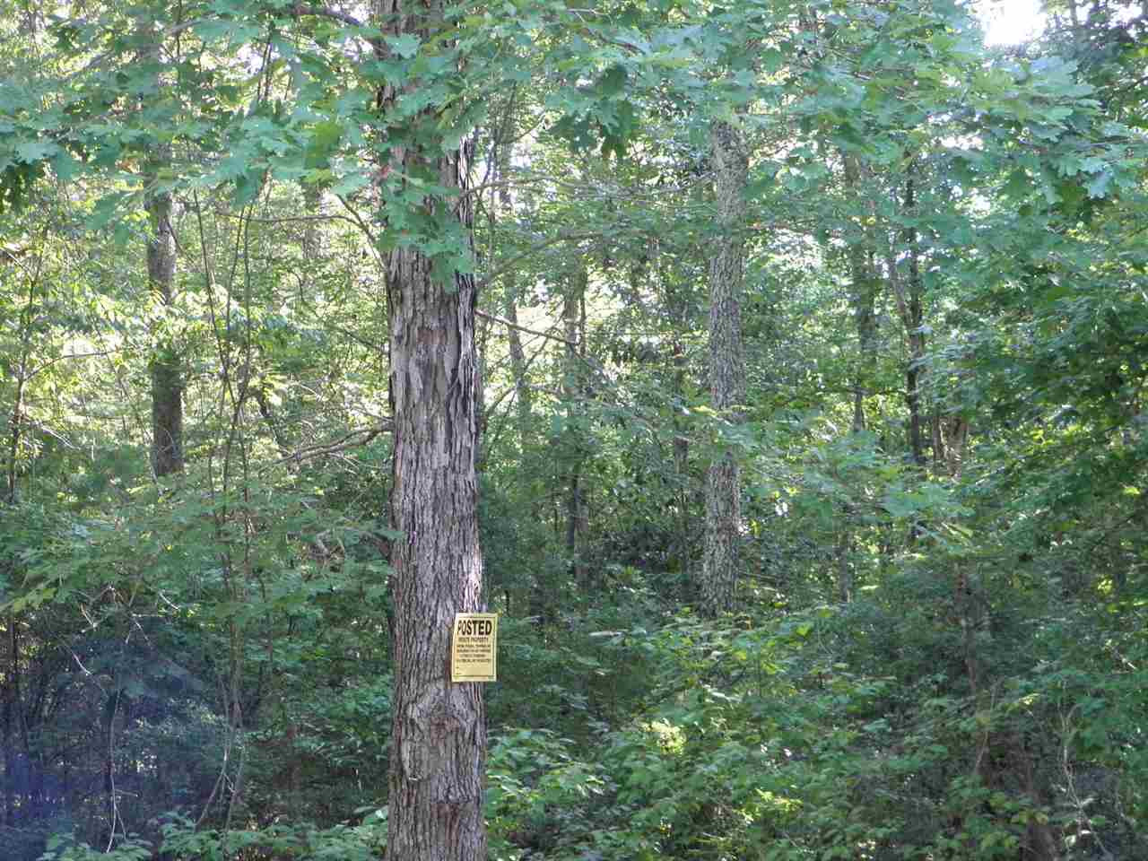 0 Poplar Springs Road Florence, MS 39073 - Photo 5 of 6 Photo 5