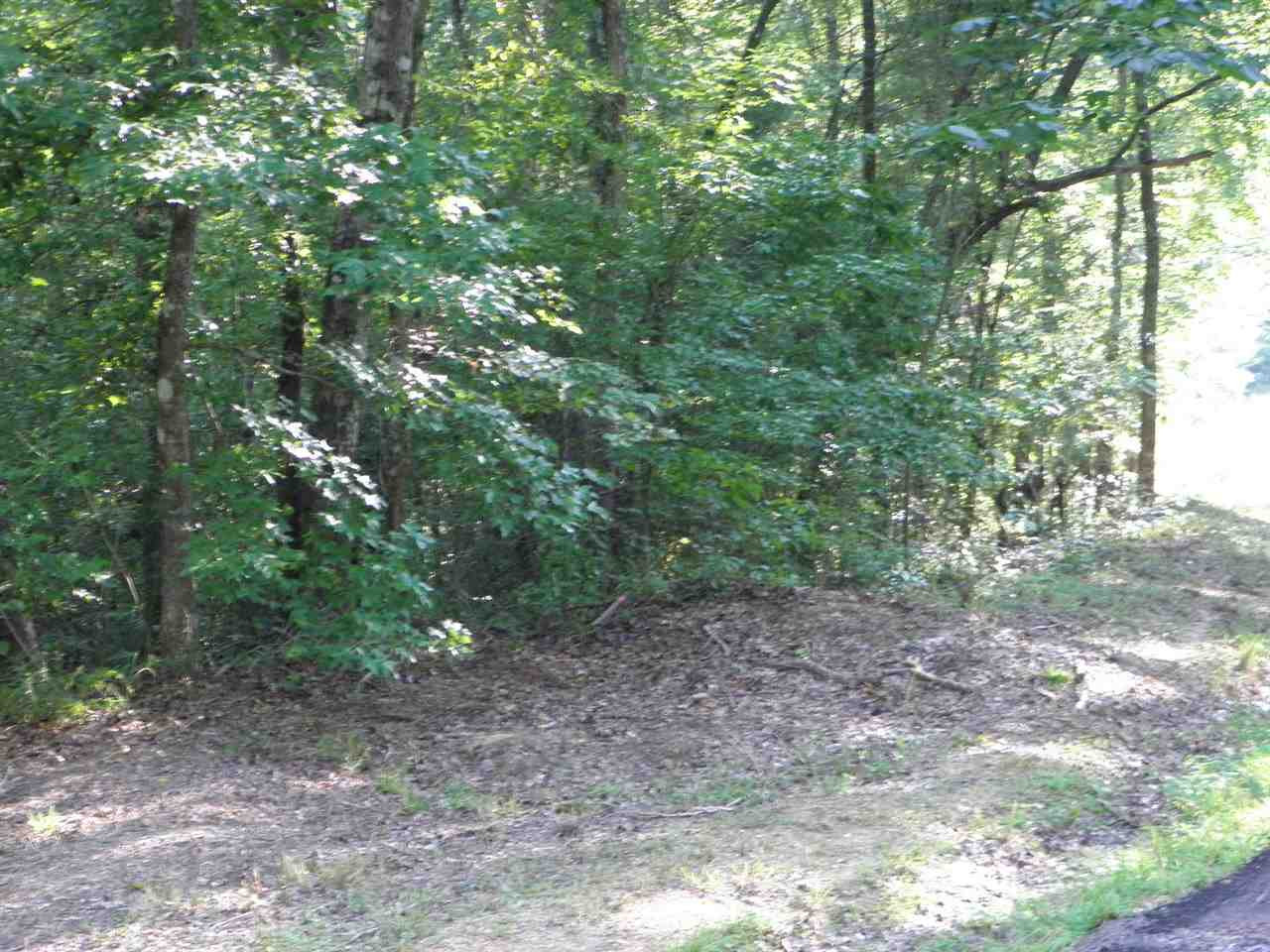 0 Poplar Springs Road Florence, MS 39073 - Photo 6 of 6 Photo 6