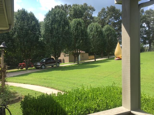 3343 Knight Road Woodlawn, TN 37191 - Photo 24 of 29 Great view from front porch.