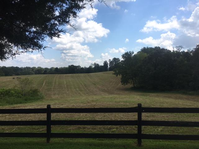 3343 Knight Road Woodlawn, TN 37191 - Photo 26 of 29 Great property for the hunter or riding your 4- wheeler. Lots of wildlife.