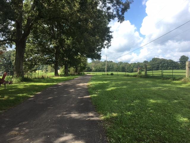 3343 Knight Road Woodlawn, TN 37191 - Photo 28 of 29 Another view of driveway.