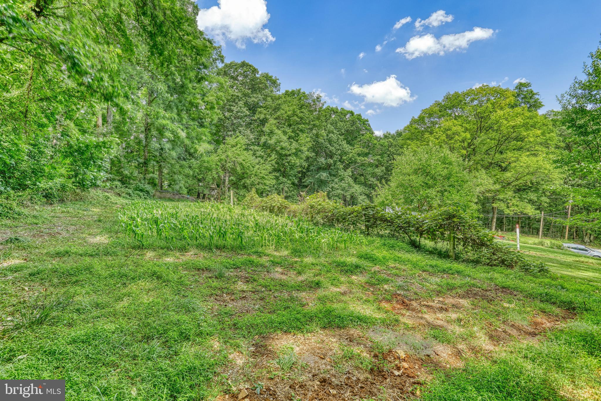 5120 Lewisberry Road Dover, PA 17315 - Photo 46 of 60 Gallery Image 46