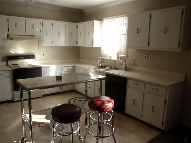 114 Spring Creek Road Estill Springs, TN 37330 - Photo 8 of 18 Kitchen features dishwasher, stove, and abundant cabinet space