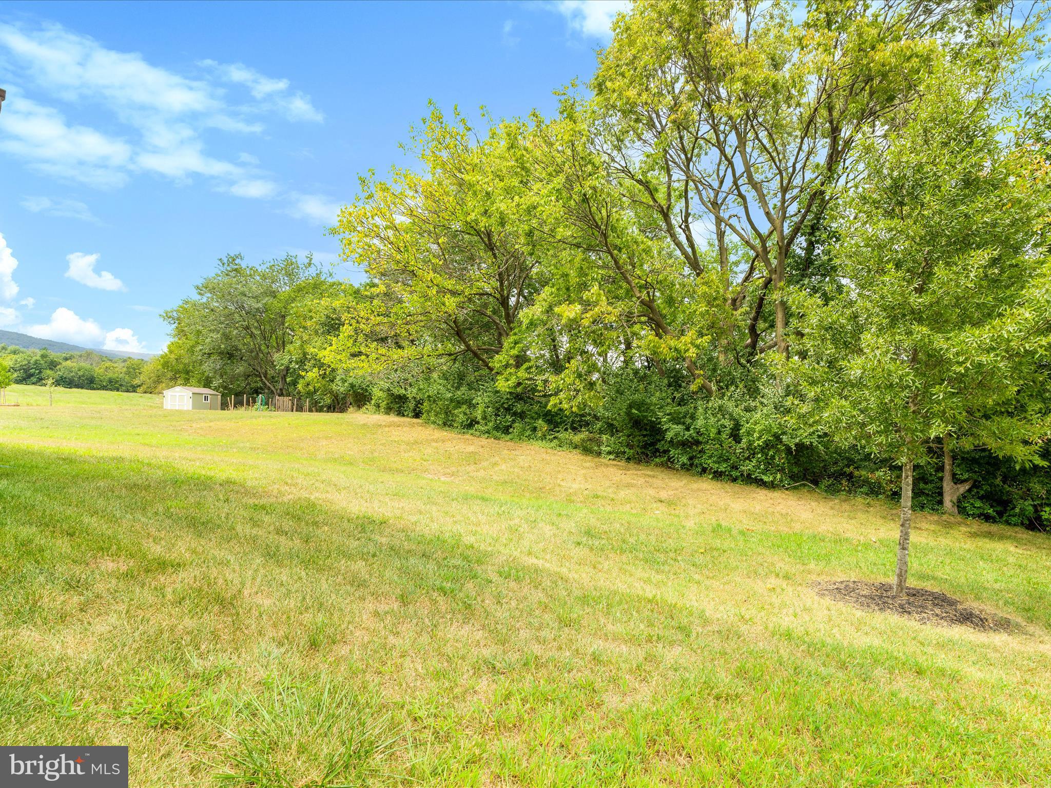 1419 Ricketts Road Frederick, MD 21702 - Photo 15 of 63 1419 Ricketts Rd-015