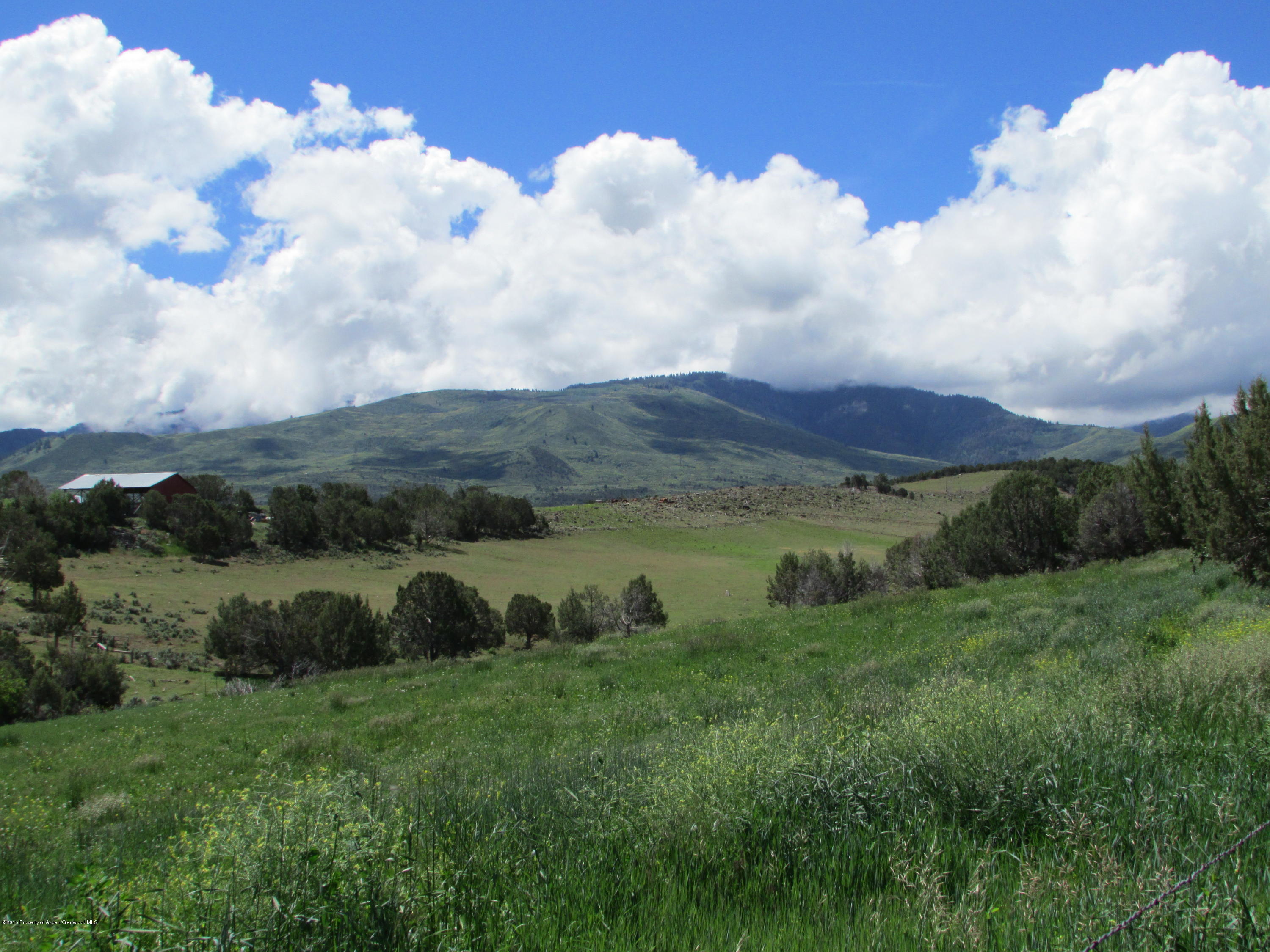 7794 County Road 309 Rifle, CO 81650 - Photo 5 of 34 IMG_4518