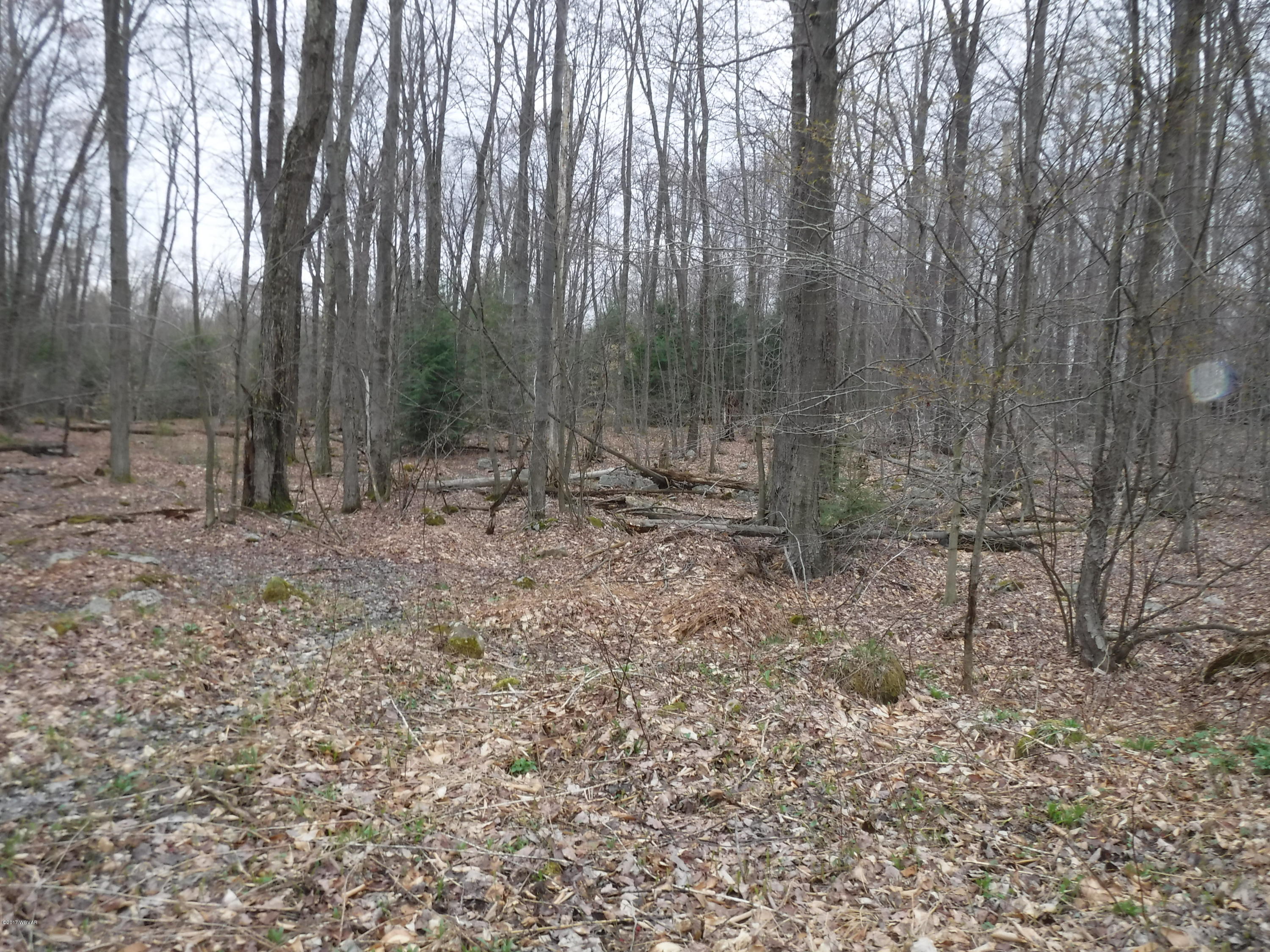 Lot 41 Miller Road Dushore, PA 18614 - Photo 2 of 2 2016-07-01 20.12.26