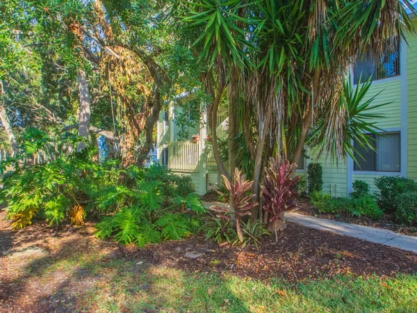 a view of a yard with plants and trees
