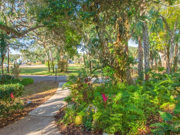 a view of a pathway with a tree