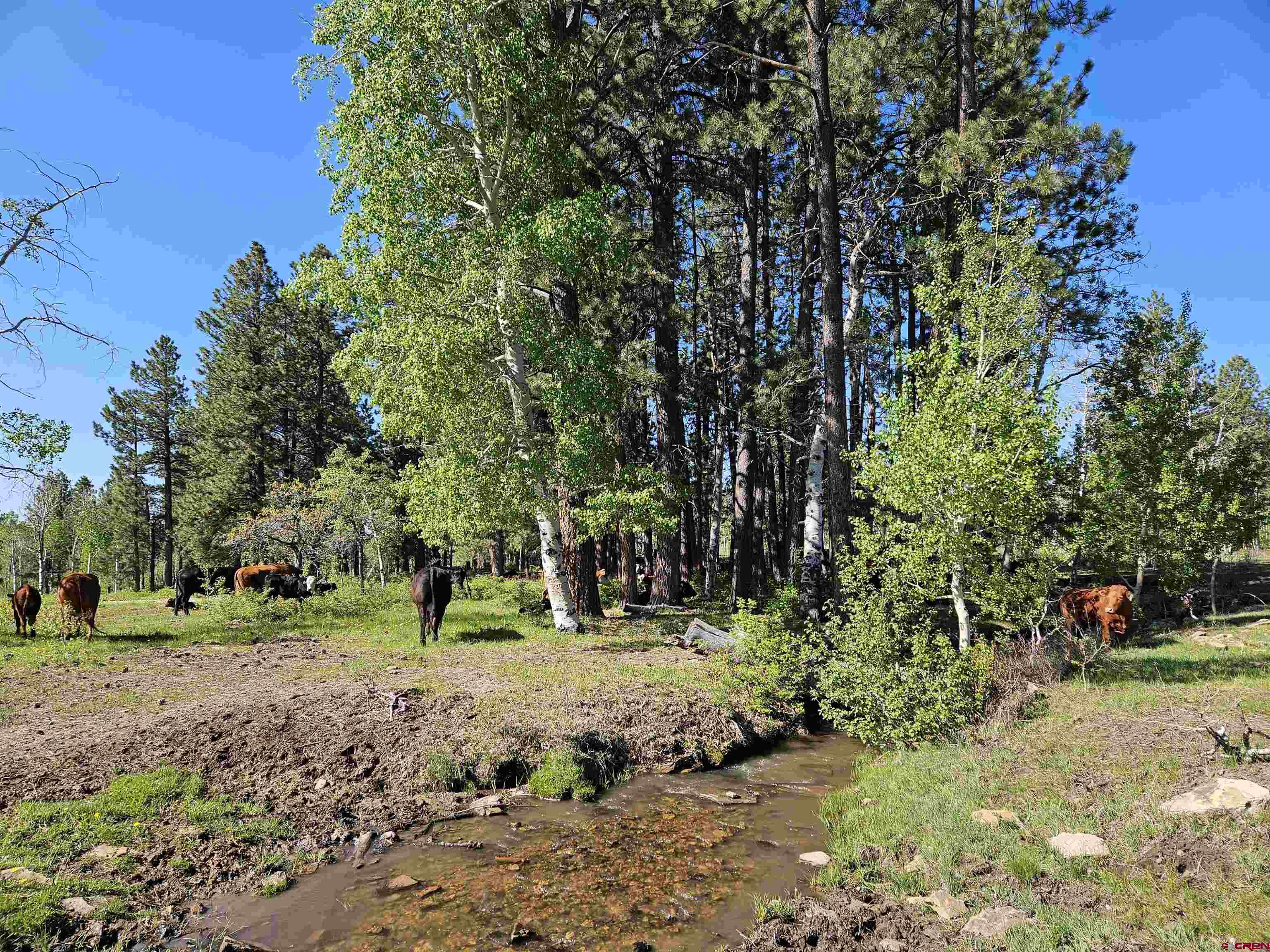 44500 Ditches Road Mancos, CO 81328 - Photo 26 of 31 Gallery Image 26
