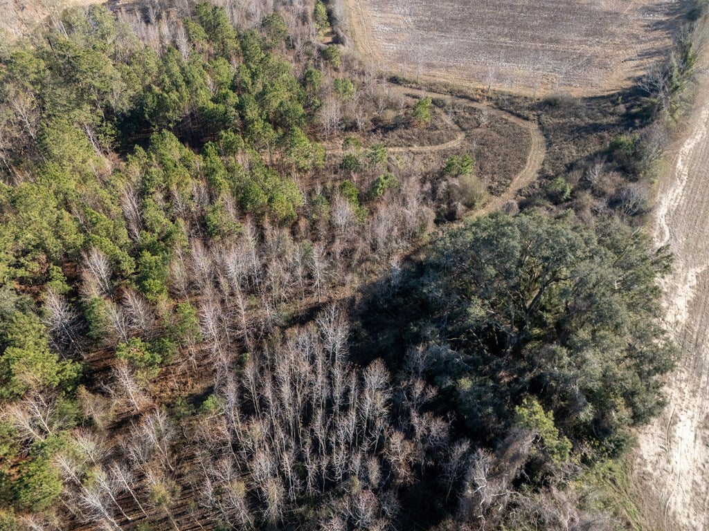 9 Bethany Road Hahira, GA 31632 - Photo 22 of 30 Gallery Image 22
