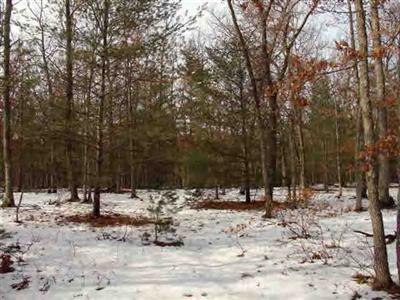 3554 South Skocelas Road Manistee, MI 49660 - Photo 7 of 9 Additional Photo