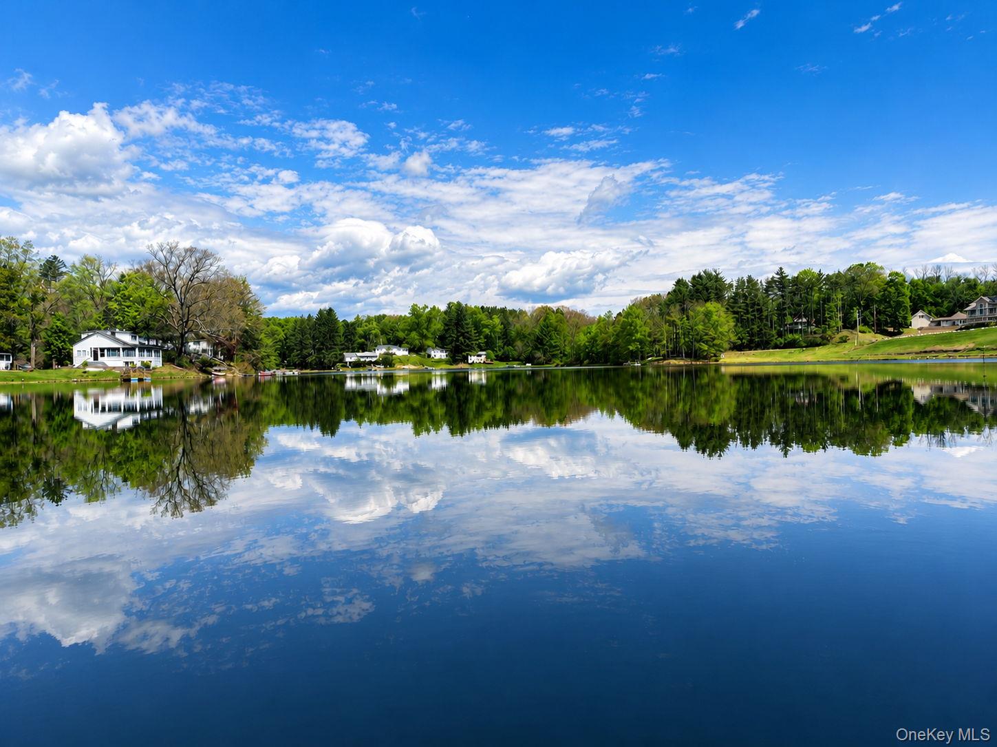 a view of a lake with houses