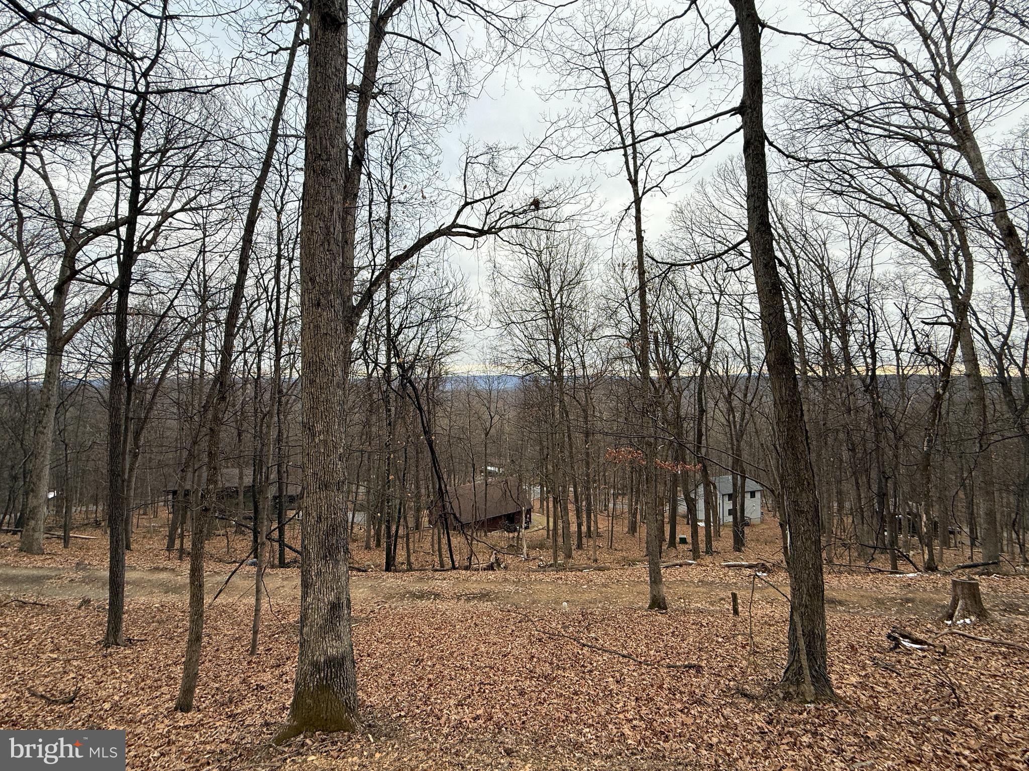 Warbler's Way Berkeley Springs, WV 25411 - Photo 1 of 14