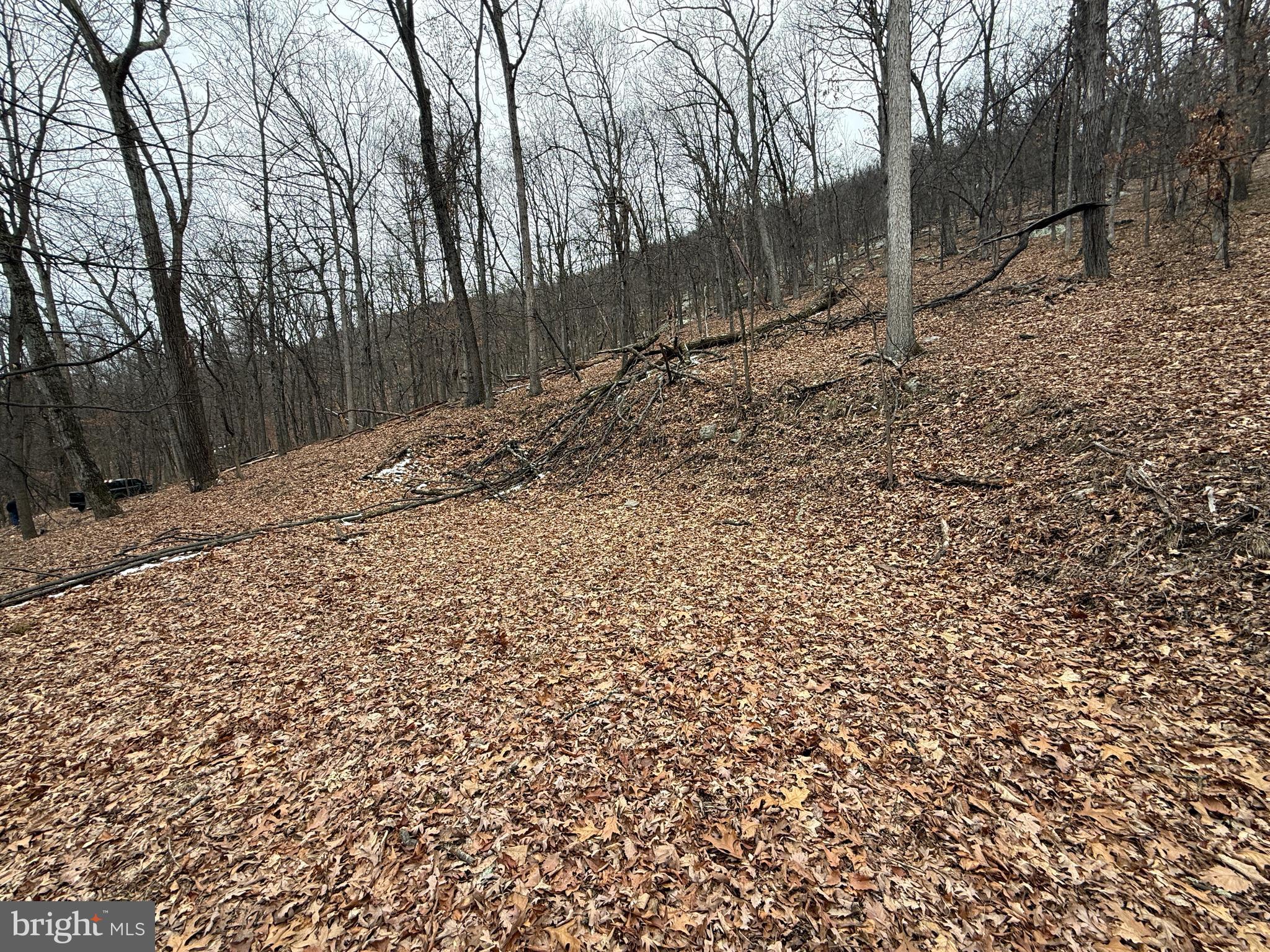 Warbler's Way Berkeley Springs, WV 25411 - Photo 2 of 14