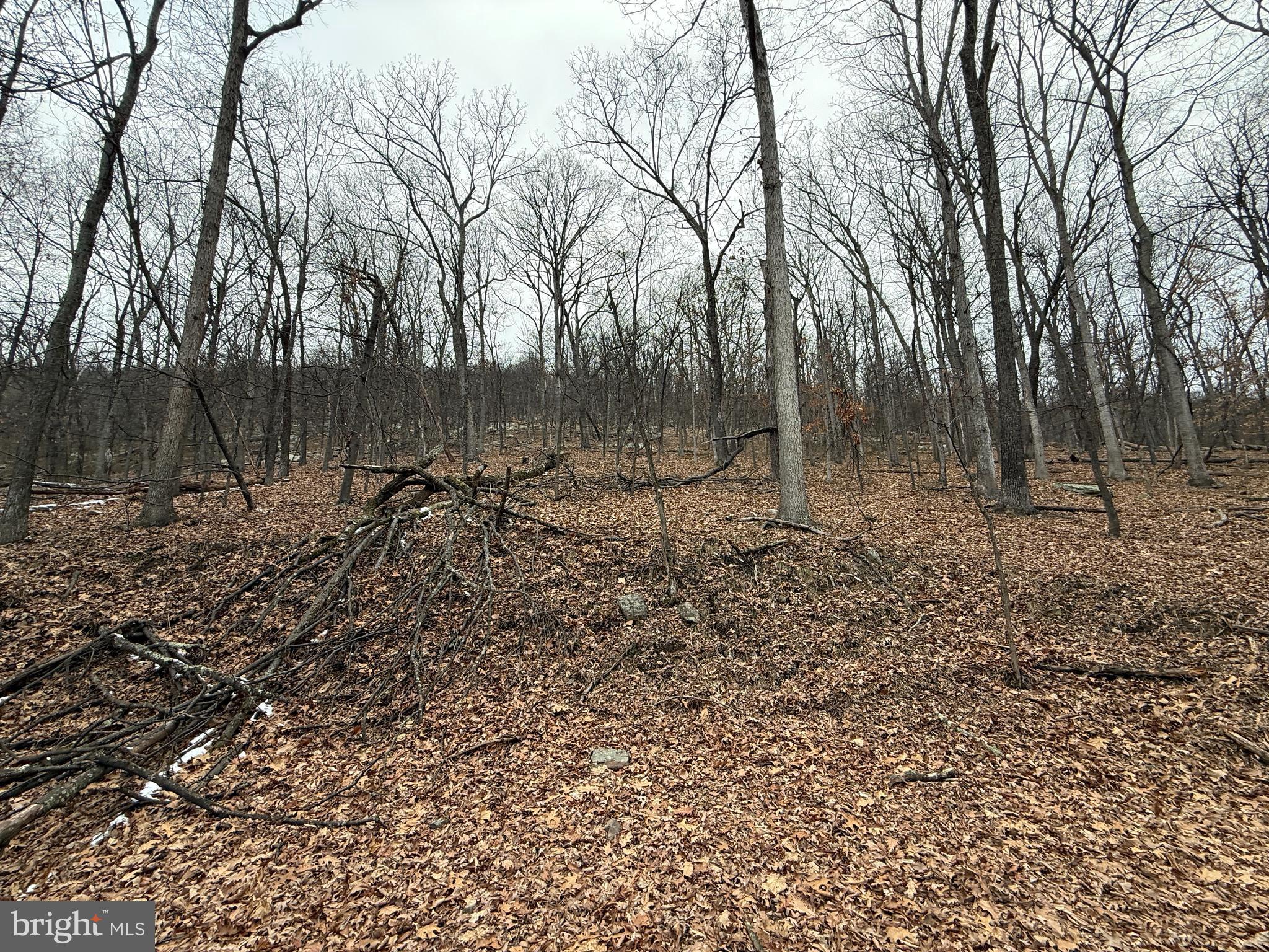 Warbler's Way Berkeley Springs, WV 25411 - Photo 3 of 14