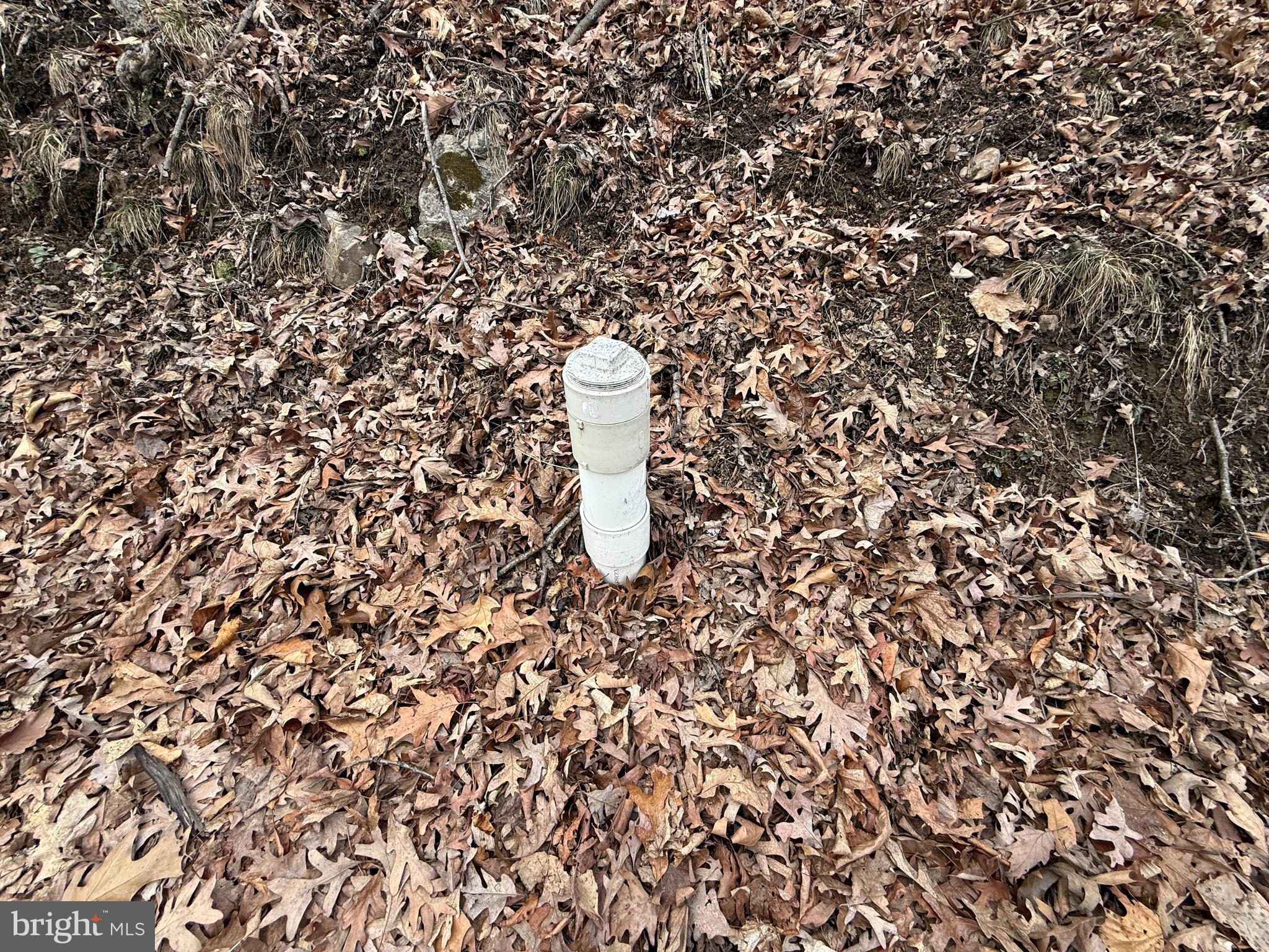 Warbler's Way Berkeley Springs, WV 25411 - Photo 5 of 14