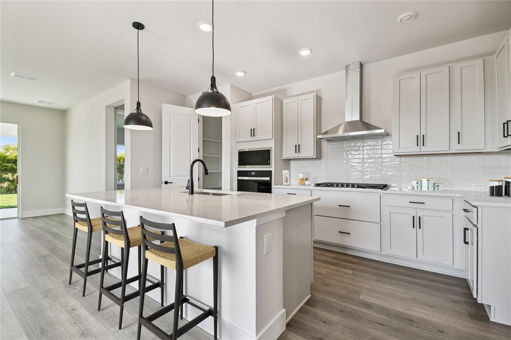 5048 Chapel Row Avenue Apollo Beach, FL 33572 - Photo 3 of 45