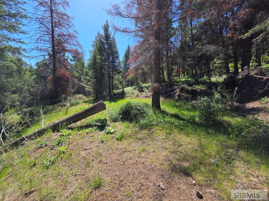 21 Pinetree Drive Salmon, ID 83467 - Photo 54 of 71