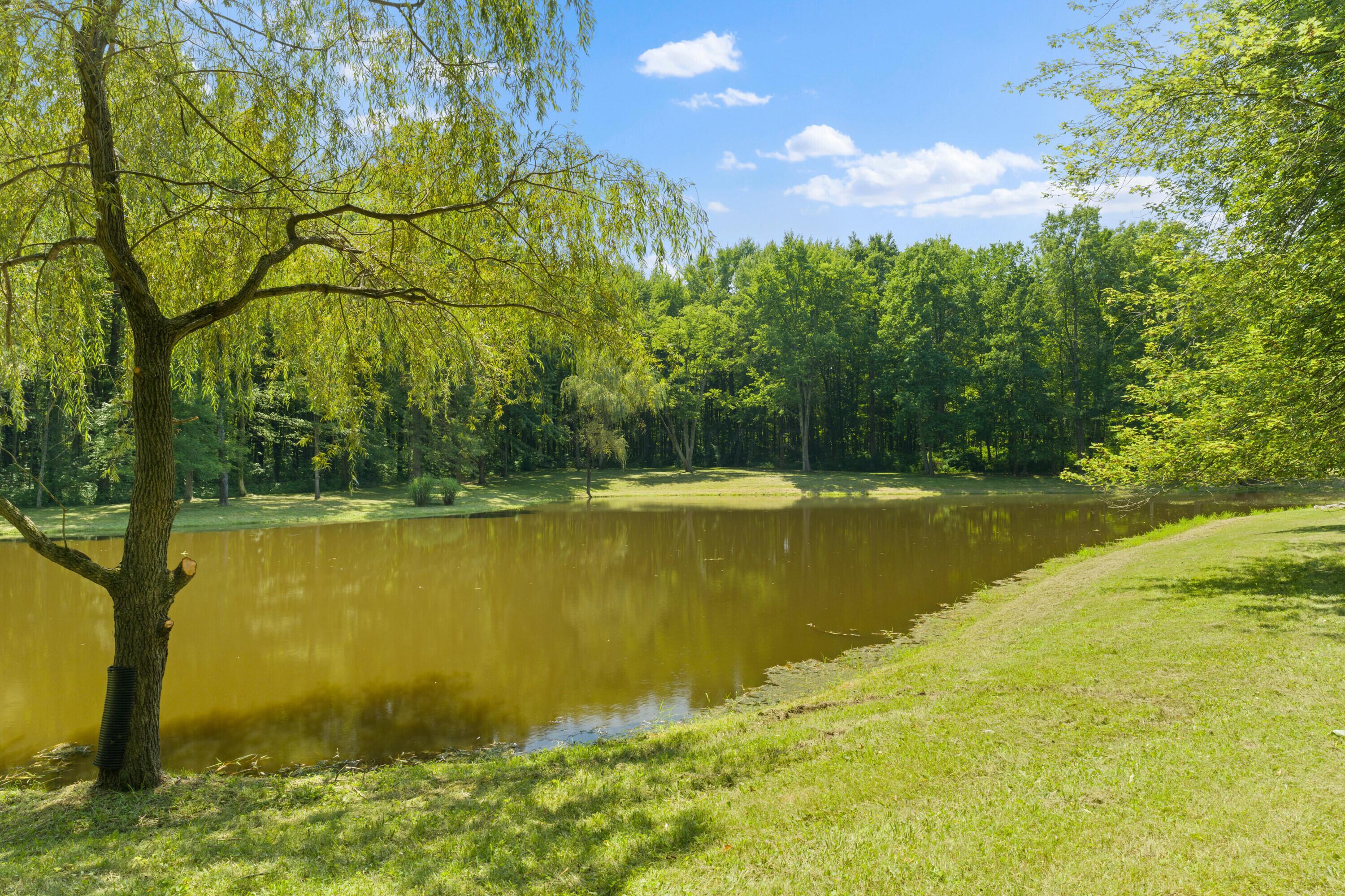 5455 Plantation Road Sunbury, OH 43074 - Photo 158 of 176 Stocked Pond