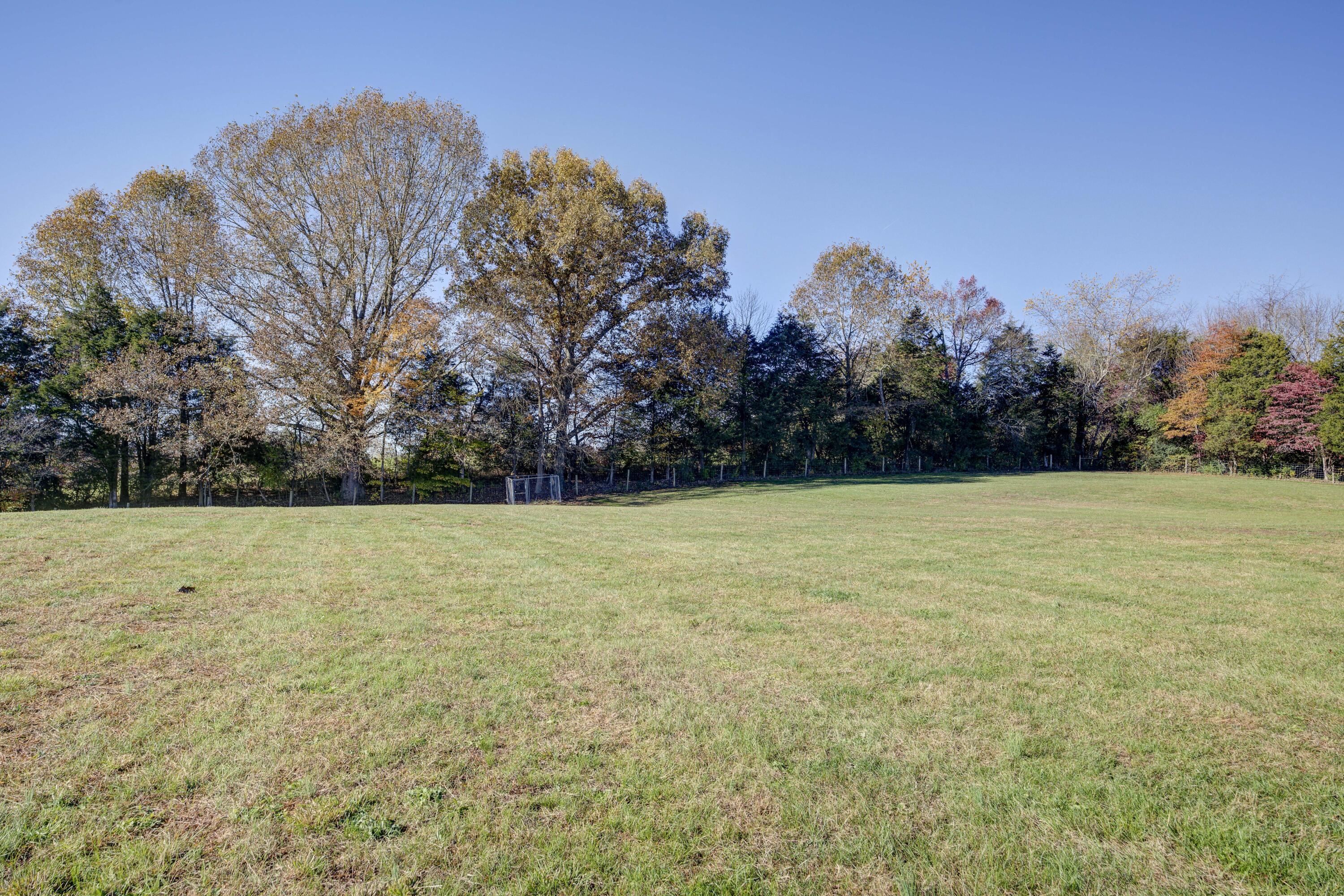 319 Stanfield Road Bluff City, TN 37618 - Photo 60 of 71 StanLAND--43